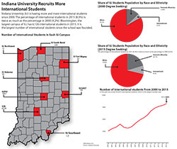 Charts on the diversity of IU campus